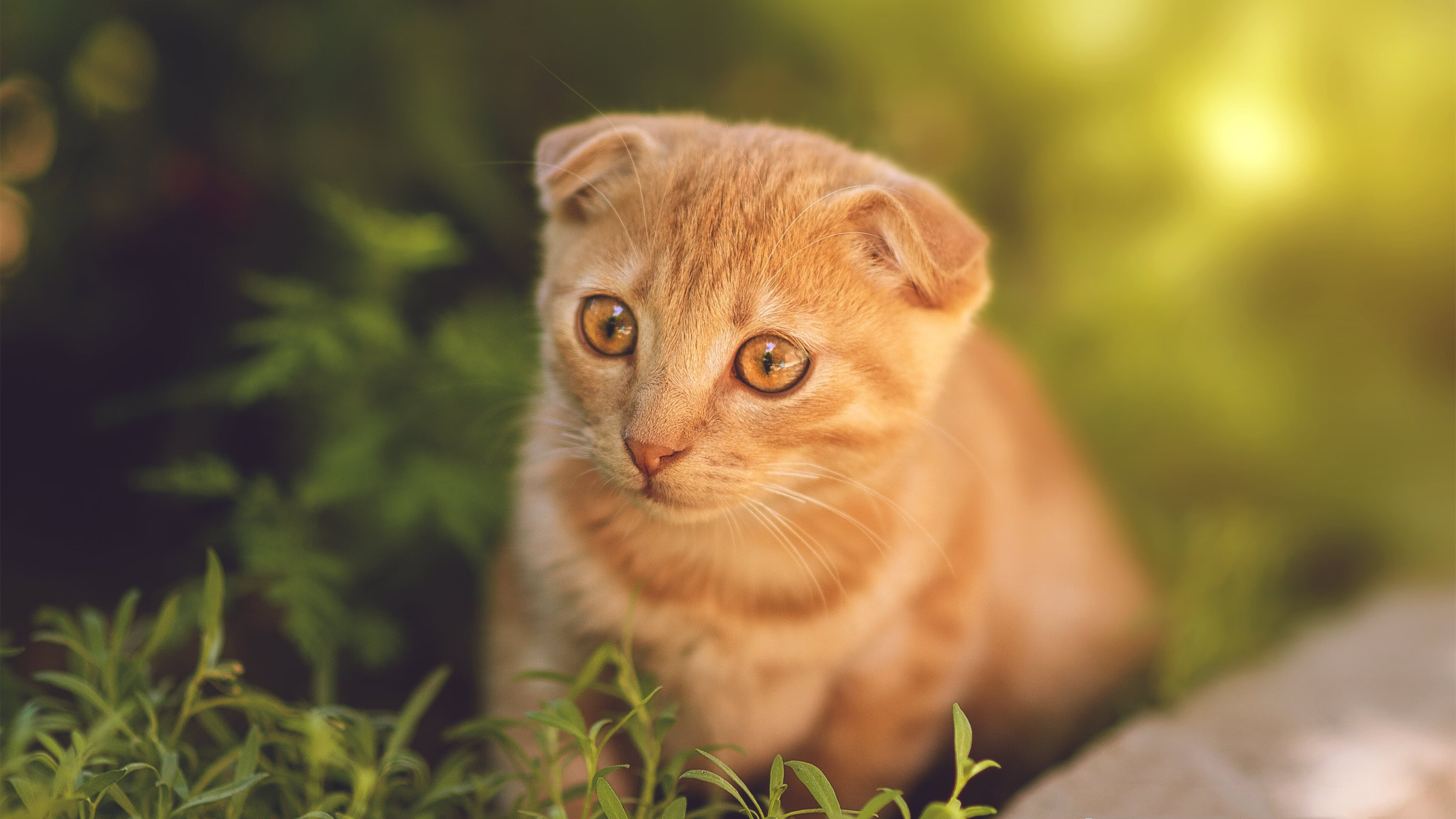 国际沙滩排球争霸赛，阳光沙滩里的激情角逐，沙滩排球大赛