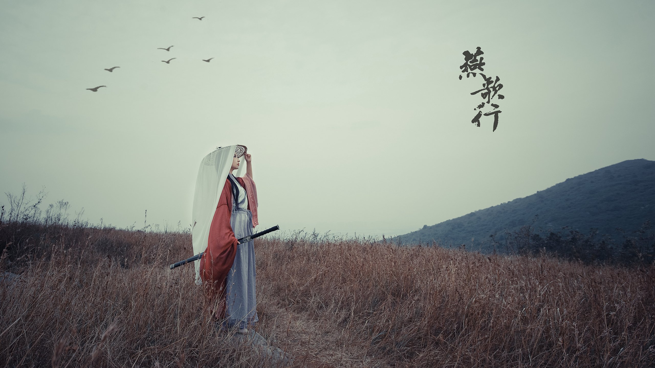 比赛中场：车手的奇迹逆转故事，职业赛车手视频