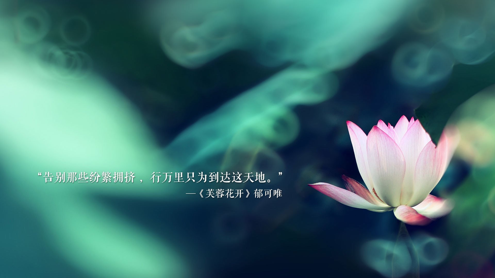 乐鱼vip-南美球队诸神归位，巴拉圭球队晋级，巴拉圭球迷