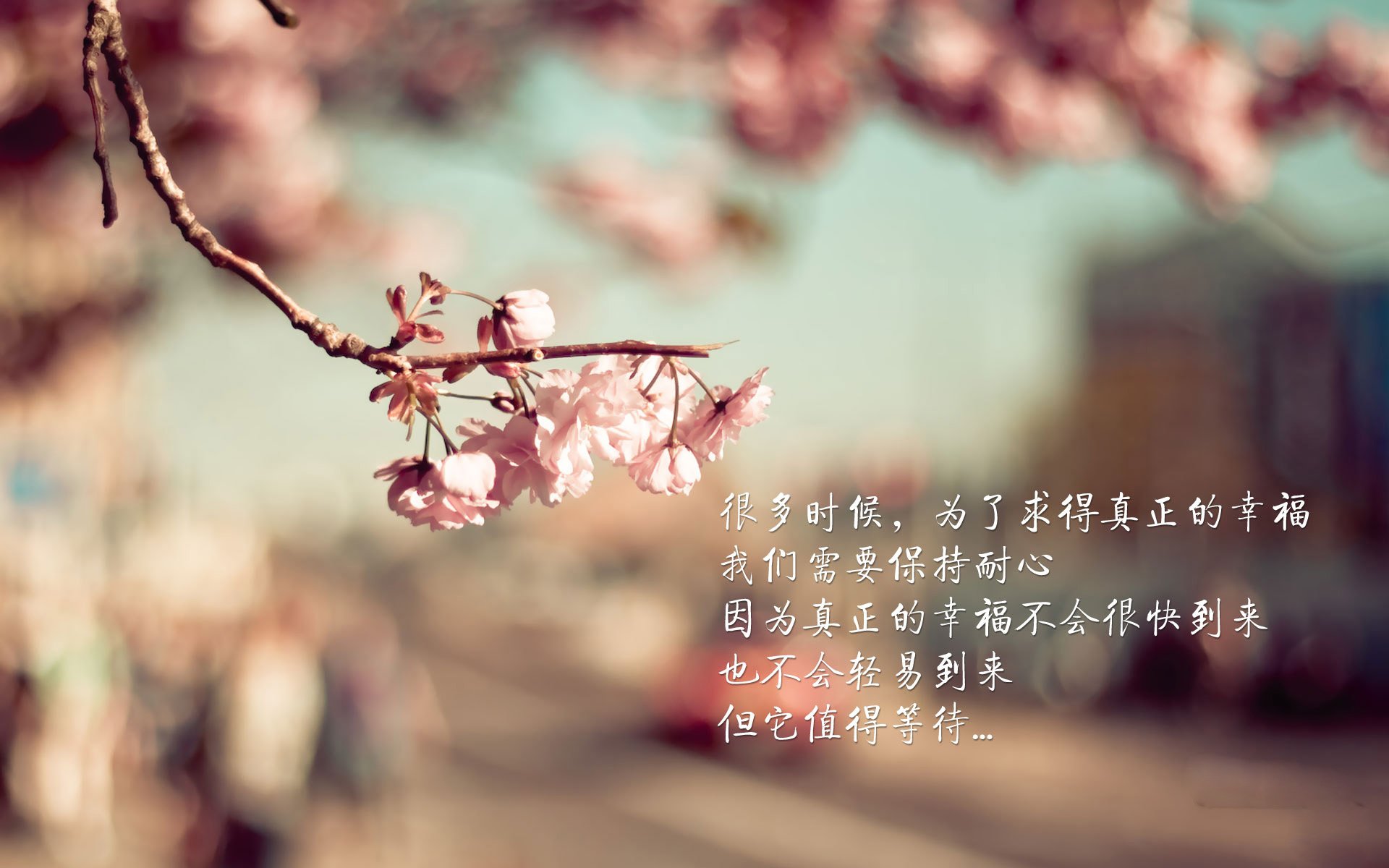 乐鱼体育App下载-球员注册制度是否需要更公开透明，球员注册信息查询