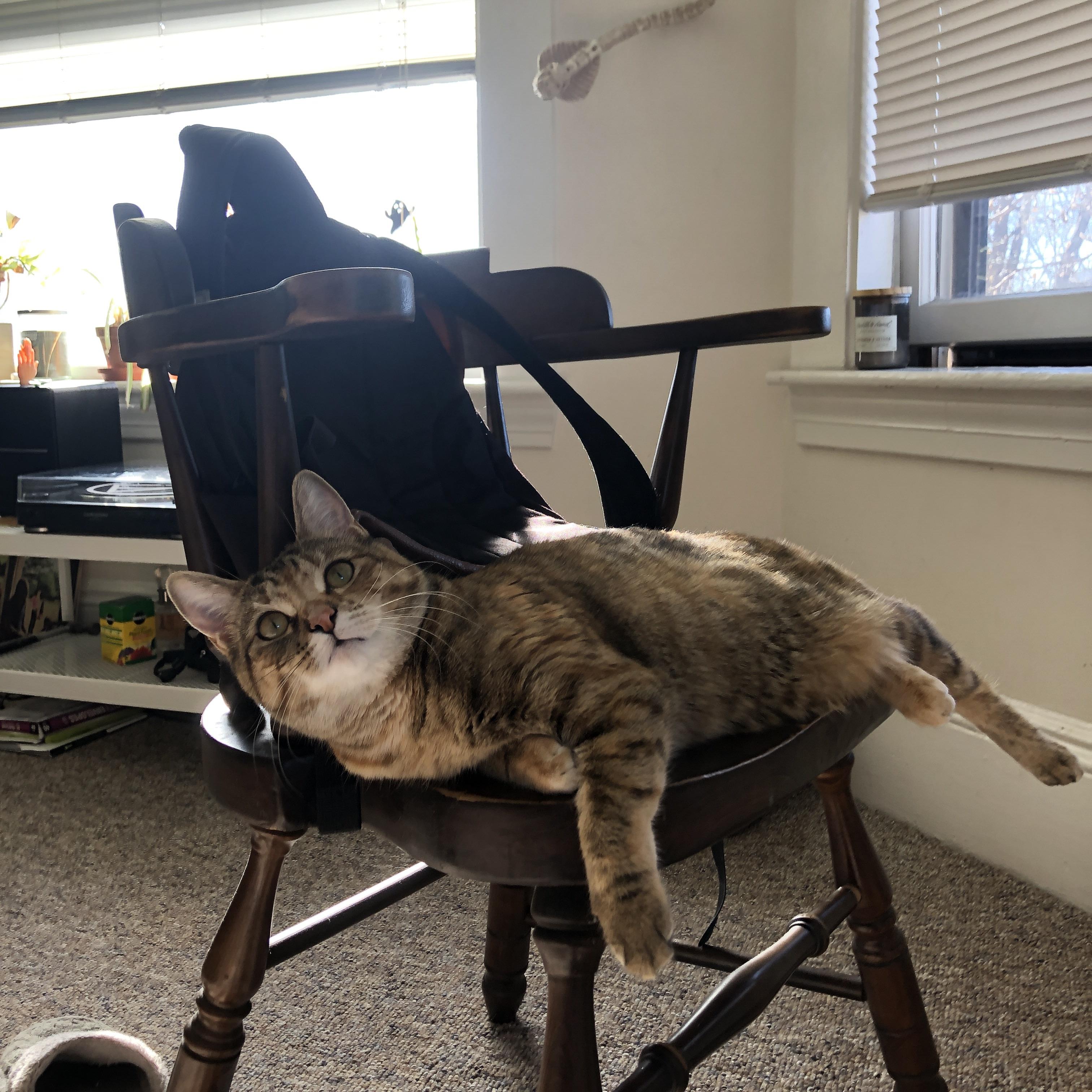 中立B选手与国际强手差距逐渐缩小，中立场比赛