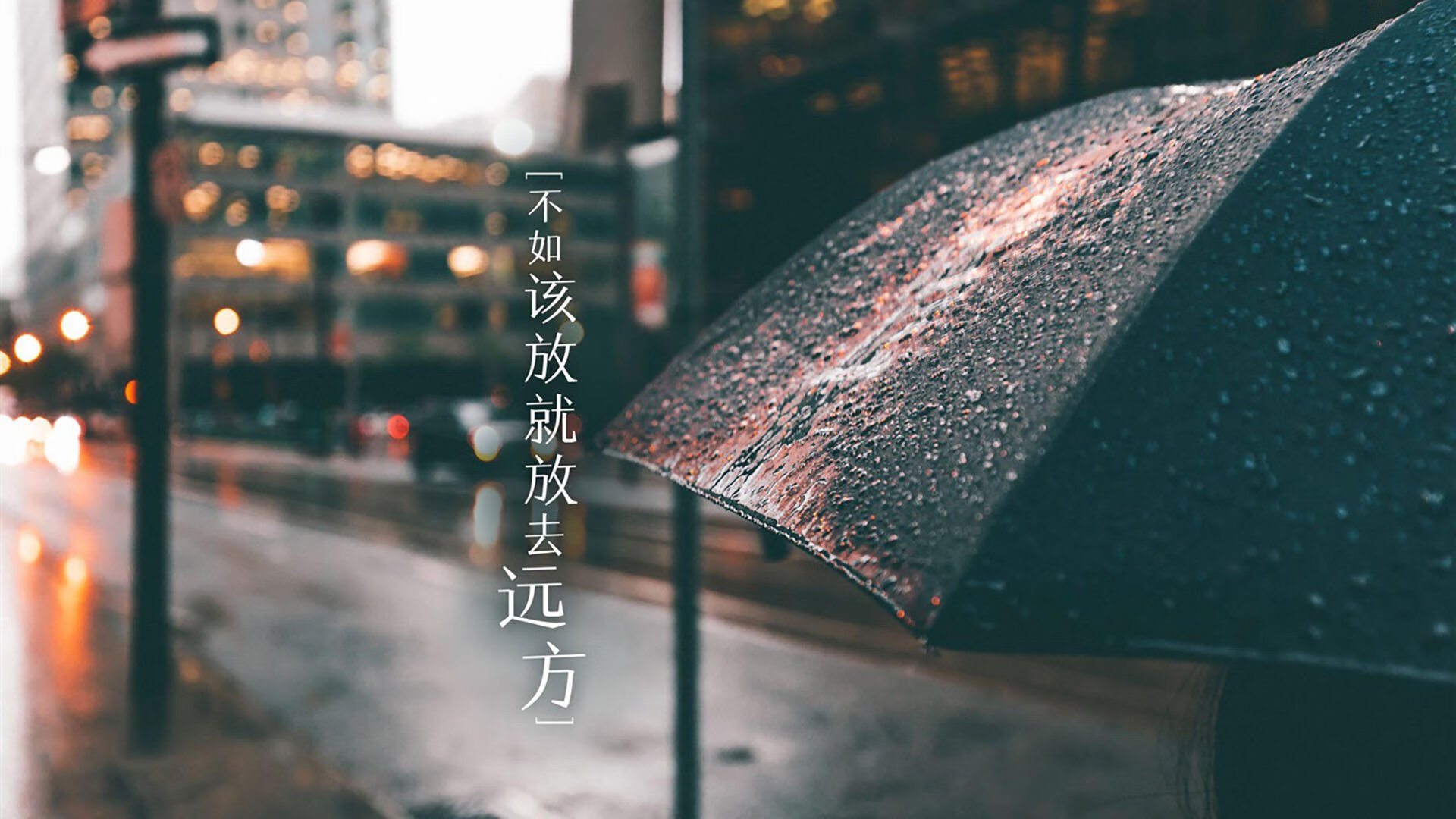 埃及队未来发展：技术与体能并重，力争大赛突破，埃及队怎么样