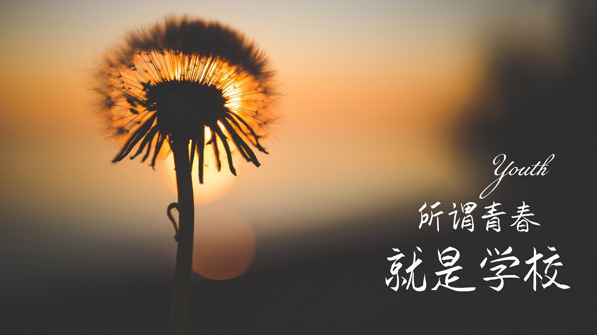 新闻中心发布体育心理健康发展指导意见，体育健康心理学