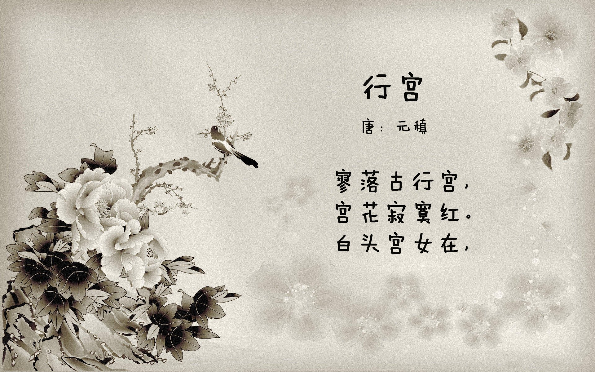 足球文化在青少年中的普及率不断提高，青少年足球的发展