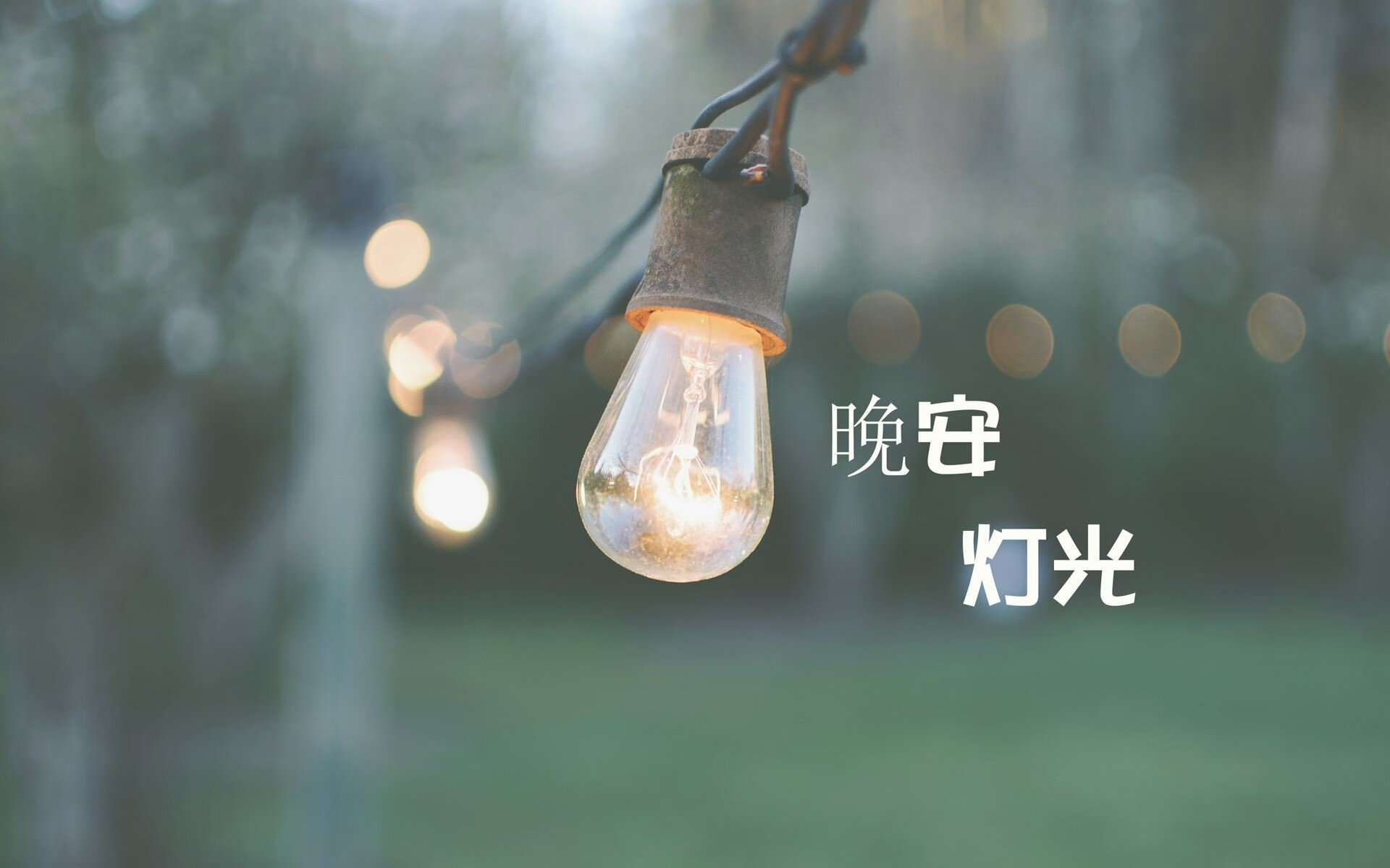 麦克沃伊决赛狂飙刷新世界纪录，迈克麦达沃伊