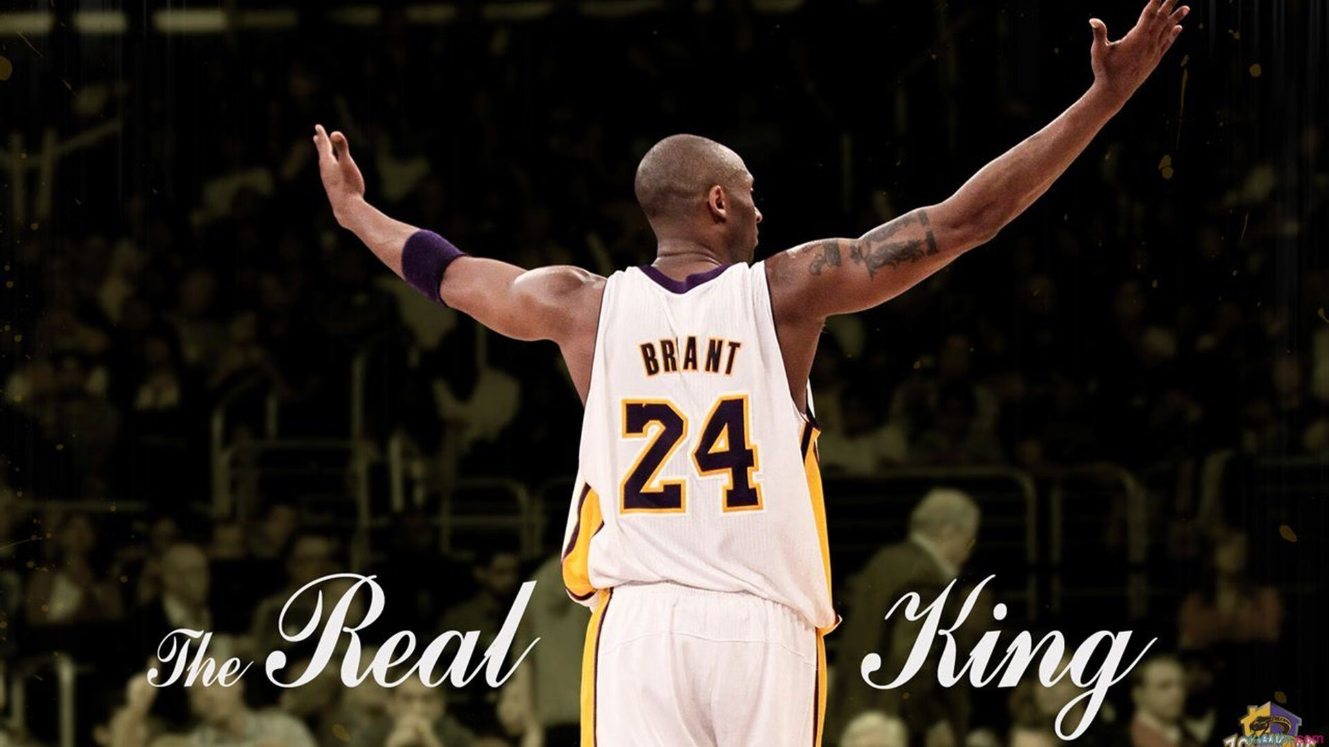 《2025年CS_GO世界冠军，Vitality战队成功卫冕》，20年csgo比赛